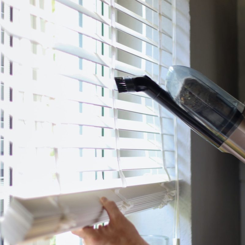 Vacuumed window blinds. Cleaning, organizing, homework.